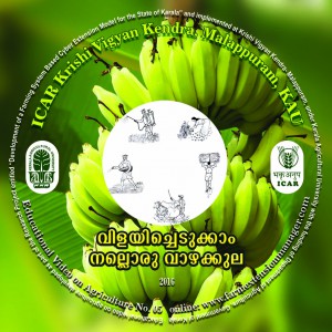 CD TOP LABEL banana copy