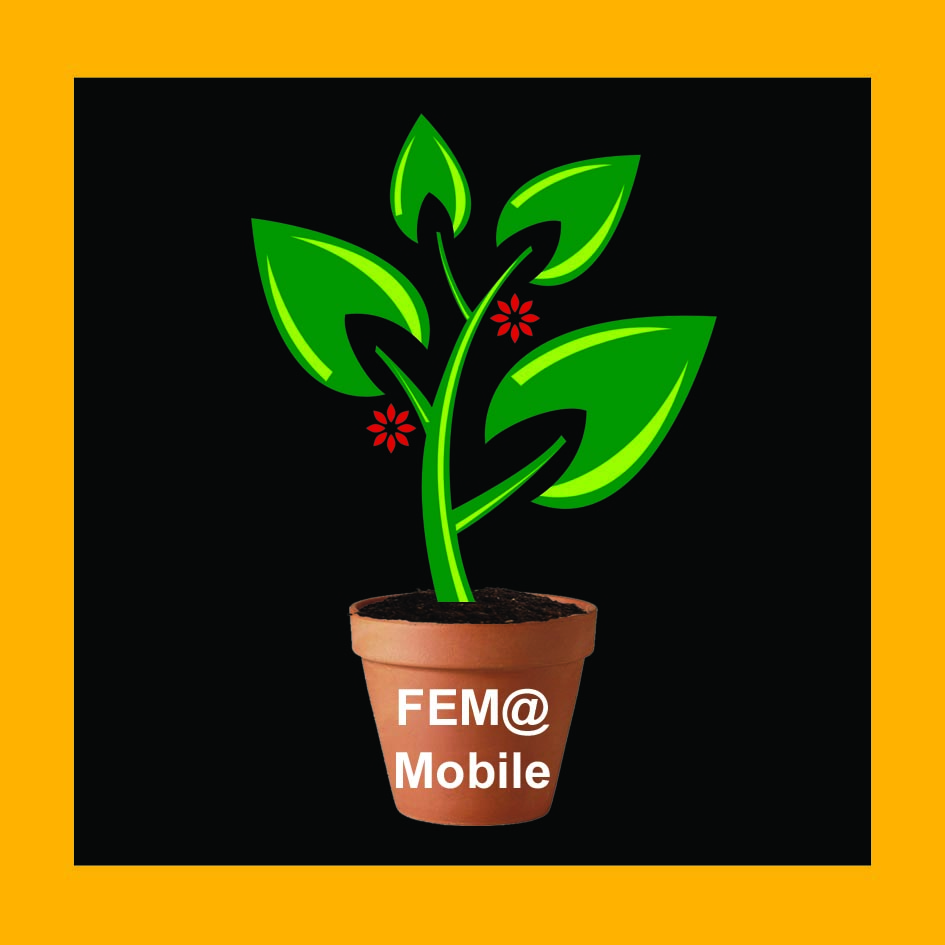 Logo FEM final