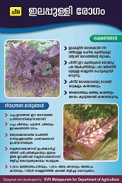 Amarantha Leaf Spot Poster copy