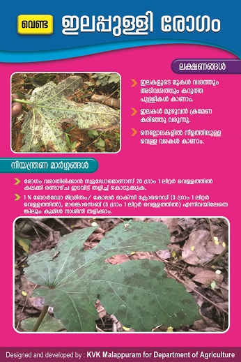 Bhindi leaf spot poster copy