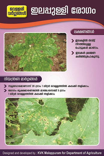 Cucurbit leaf spot poster copy