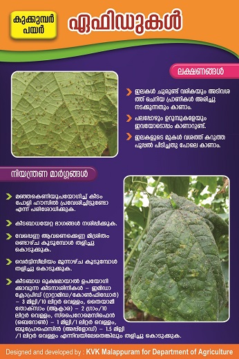 Polyhouse aphid poster copy