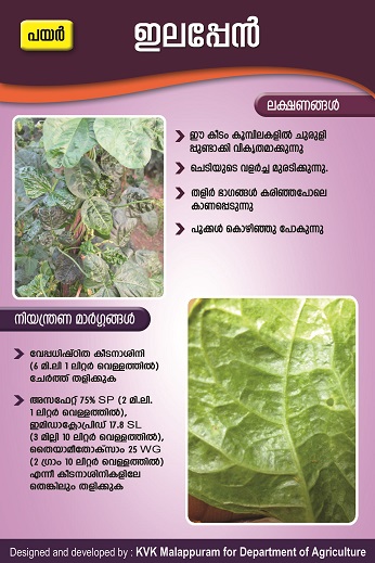 Thrips Poster copy