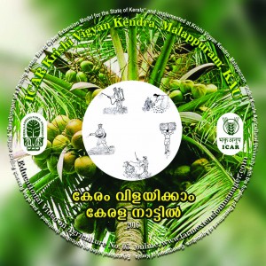 CD TOP LABEL Coconut copy